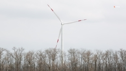 Солнечную электростанцию за 1 млрд рублей могут построить в Нефтекумском округе