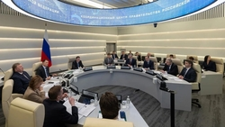 Губернатор Владимиров доложил вице-премьеру Патрушеву о подготовке к посевной