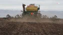 Озимые культуры займут 1,9 тыс. га ставропольских полей