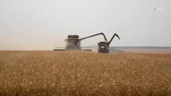 План летней уборочной кампании выполнили на Ставрополье на 18%