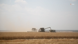 На Ставрополье аграрии смогут получить льготные кредиты по ставке до 6,7%