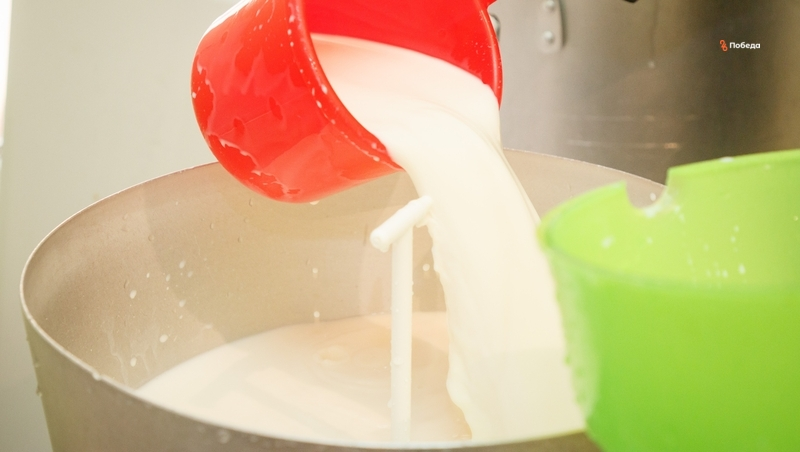 Небольшой завод по переработке молока откроют в Андроповском округе