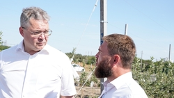 Губернатор Ставрополья поручил увеличить объёмы закладки суперинтенсивных садов 