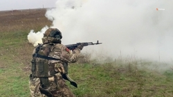 С 2022 года 750 предприятий Ставрополья отправили бойцам СВО 2,5 тыс. тонн посылок