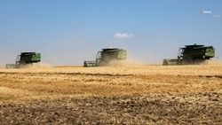 Уборка гороха стартовала в Предгорном округе