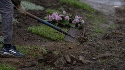 Зону отдыха обустраивают в селе Советского округа