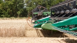 Жатва прошла на 529 тыс. га ставропольских полей
