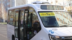 По дорогам Ставрополя ездит около 700 автобусов