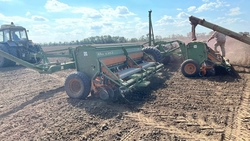 На Ставрополье засеяли озимыми почти половину планируемых площадей — глава края