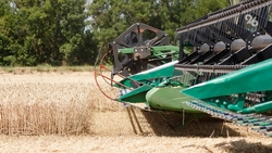 На Ставрополье жатву завершили на 65%