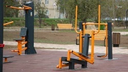 Жители Железноводска предложили установить ещё один тренажёр для гиперэкстензии