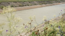 Расчистку водоёма в Красногвардейском округе завершат в начале ноября