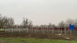 Школьный сад открылся в Благодарненском округе благодаря краевой программе