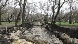 Парк этнической культуры облагородят в Александровском округе