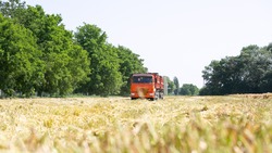 Ставропольские аграрии заложили озимые культуры на территории 917 тыс. га