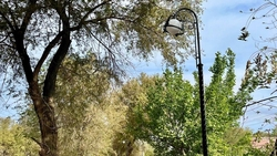 Улица в селе Дивном на Ставрополье стала светлее и безопаснее с новыми фонарями