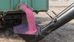 В Шпаковском округе засеяли горох, ячмень и овёс