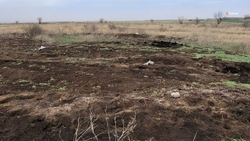 Россельхознадозор обнаружил захламлённые земли в Изобильненском округе