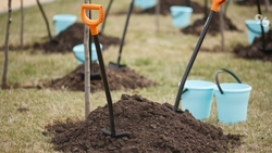 Школьный сад заложили в Ипатовском округе