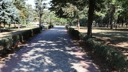 Пришкольную территорию благоустроят в селе Бурлацком