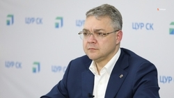 Глава Ставрополья: В 2024 году хотим собрать 117 тыс. тонн тепличных овощей