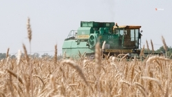 Более 70% урожая зерна собрали в Новоалександровском округе