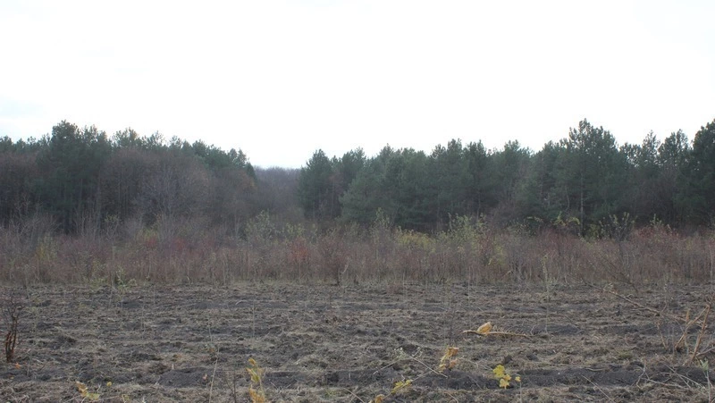 В столицк СКФО прошла всероссийская акция «Сохраним лес»
