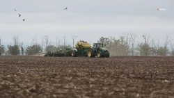 Кукуруза заняла 67,2 тыс. га ставропольских полей