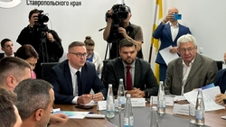 Новый проект «День производителя» появился на Ставрополье