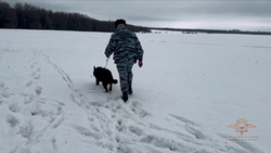 Полиция нашла потерявшегося ставропольца в Липецкой области