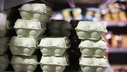 Жителей края приглашают на предновогоднюю «яичную» ярмарку на Ставрополье