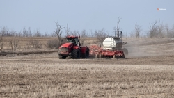 Аграриям Ставрополья продолжат выдавать льготные кредиты