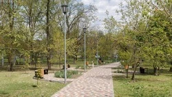 Первый этап благоустройства пешеходной зоны завершили в Александровском округе
