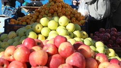 Количество ярмарочных площадок на Ставрополье достигло 550