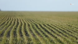 10 тысяч га орошаемых на Ставрополье земель введут в эксплуатацию в 2025 году   