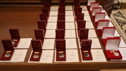 Двоих многодетных матерей из Андроповского округа отметили краевой наградой