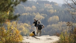 Ставрополье перевыполнило план по курсбору на 37,5 млн рублей в 2024 году 