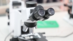 Агроклассы откроют в двух школах Советского округа 1 сентября