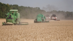 Ставропольский край стал лидером по уровню зарплат для сборщиков урожая в России