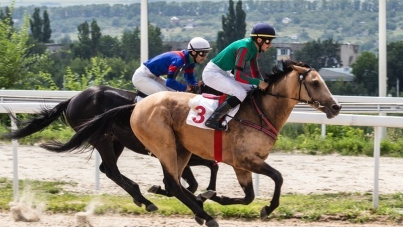 Ипподром и «Масонский дом» признали памятниками архитектуры на КМВ