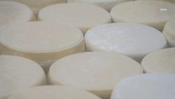 Производство сыра выросло на Ставрополье на треть