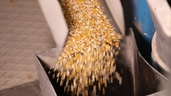 Предприятие по выпуску модифицированного кукурузного крахмала откроют на Ставрополье