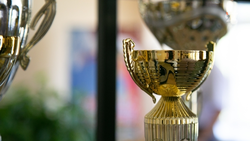 На Ставрополье губернаторскую стипендию получат 100 спортсменов в этом году