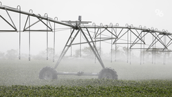 14 проектов мелиорации на Ставрополье получили субсидии в 2025 году