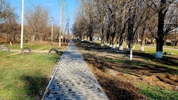 Пешеходную дорожку длиной 2 км строят в селе Левокумском на Ставрополье
