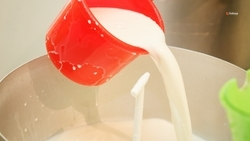 Производство молока на Ставрополье нарастили на почти на 5%