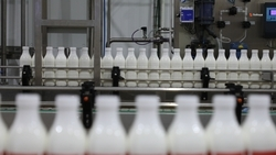 Ещё 40 компаний-экспортёров может появиться к концу года на Ставрополье 