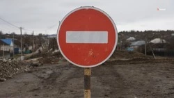 Дорогу к буйволиной ферме проложат в Александровском округе