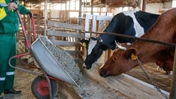 Проект «Кадры АПК» начнёт действовать на Ставрополье в 2025 году