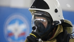 Пожарные потушили возгорание на территории частного дома в селе на Ставрополье